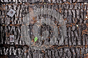 Black burnt wall of house of wooden planks with embossed texture and metal buckles. background for copy space. concept of loss of