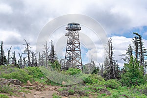 Black Butte Tower in Trees