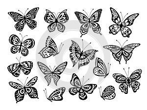 Black butterflies. Drawing butterfly silhouette, nature elements. Gorgeous artwork ornate wings different forms photo
