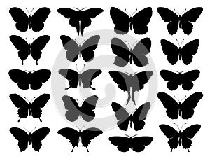 Black butterfly silhouettes. Outline butterflies romantic tattoo, tropical insects stencil. Summer and spring exotic