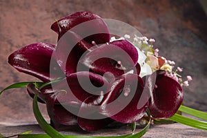 Black calla flowers Zantedeschia whit droplets