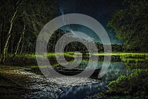 Black canoe on a starry lake in a mossy forest