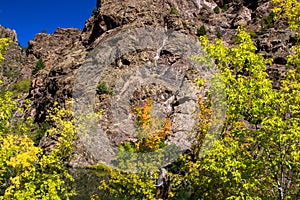 Autumn colors, steep cliffs, and blue skies at Black Canyon of the Gunnison National Park