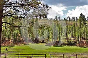 Black Canyon Lake, Navajo County, Arizona, United States, Apache Sitegreaves National Forest