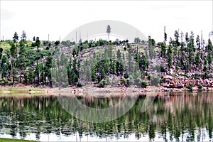 Black Canyon Lake, Navajo County, Arizona, United States, Apache Sitegreaves National Forest