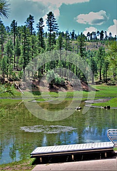 Black Canyon Lake, Navajo County, Arizona, United States, Apache Sitegreaves National Forest