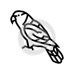 black capped lory parrot bird line icon vector illustration