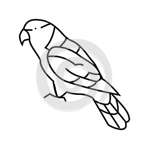 black capped lory parrot bird line icon vector illustration