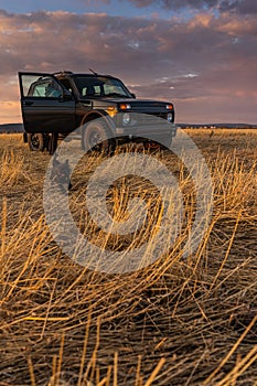 a black car stands on an autumn field.  a domestic dog walks nearby.