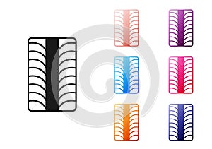 Black Car tire wheel icon isolated on white background. Set icons colorful. Vector
