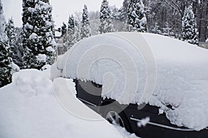 Car under snow