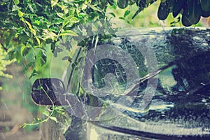 Black car under the tree with rain drop water