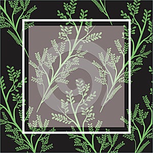 Black card background with decorative ramifications plants pattern and square frame