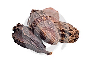 Black cardamom, also known as hill cardamom, Bengal cardamom, greater cardamom, Indian cardamom, Nepal cardamom, winged cardamom, photo