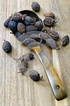 Black cardamom