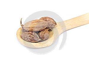 Black Cardamom Tsaoko Fruit on wooden spoon over white background