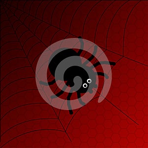 Black cartoon spider with web on red background
