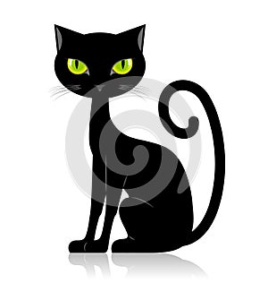 Black cat
