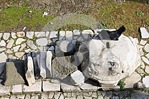 Black cat on ancient roman marble column