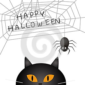 Black cat ans spider Happy Halloween on white background