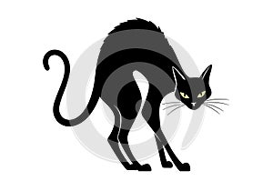 Spooky cat silhouette