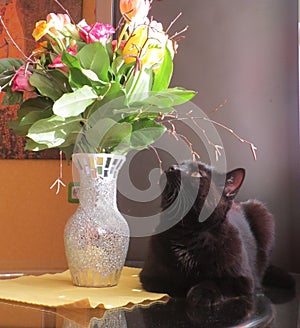 Black cat and bouquet of flowers