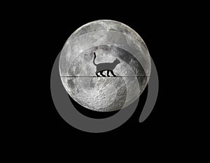 Black Cat Crossing on a wire in front of a full  moon