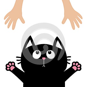 Black cat face looking up to human hand., paw print hug. Cute cartoon funny character. Kawaii animal. Adoption helping hands conce photo