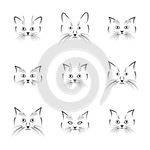Black cat face, vector illustration.