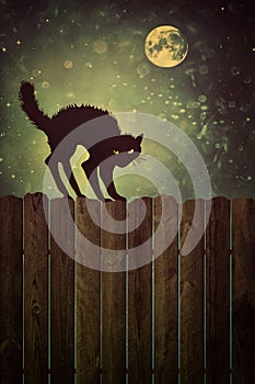 Black cat on fence at night with vintage look