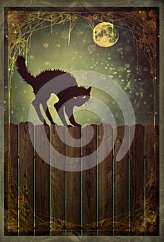 Black cat on fence with vintage look