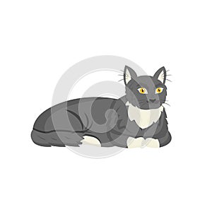 Black cat flat color vector character