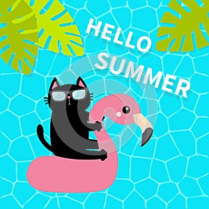 Black cat floating on white flamingo pool float water circle. Swimming pool water. Hello Summer. Top air view. Sunglasses.