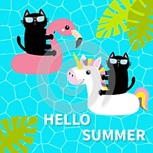 Black cat floating on white flamingo unicorn pool float water circle. Swimming pool water. Hello Summer. Top air view. Sunglasses