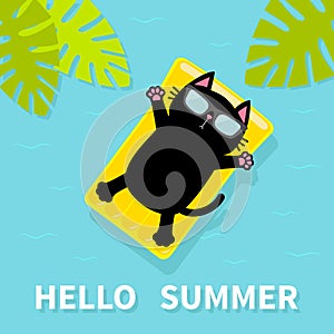 Black cat floating on yellow air pool water mattress. Hello Summer. Palm tree leaf. Cute cartoon relaxing character. Sunglasses. S