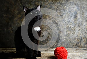 Black cat with green eyes sits and looks up next to a red ball of thread