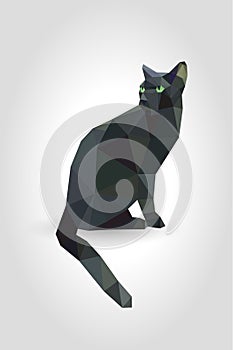 Black cat green eyes sitting isolated on gray background