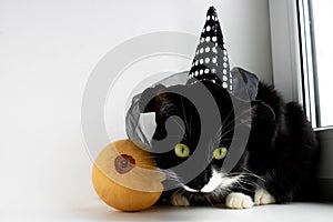 A black cat with green eyes in a witch's hat. The Concept Of Halloween