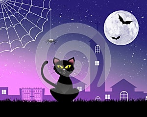 Black cat of Halloween