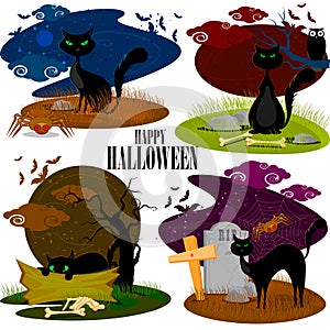 Black cat in Halloween background