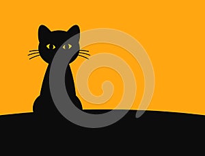 Black cat Halloween card background