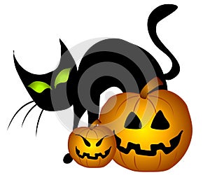 Black Cat Halloween Pumpkins