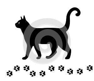 Black cat and his footprints. Vector isolated cat silhouette. Domestic animal. Home pet. Flat element for poster of zoo