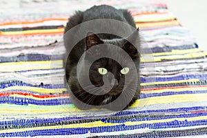 Black cat on a homespun rug