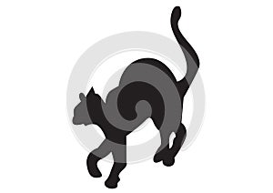 Black cat illustration vectorial