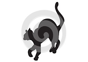 Black cat illustration vectorial photo