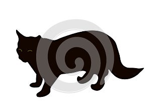 Black cat isolated on white background. Dark kitty shadow icon, vector eps 10