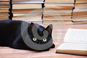 Black cat lies on the floor next to an open book. Books in the background.Coseup photo