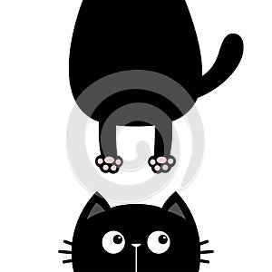 Black cat look right side. Funny face head silhouette. Hanging fat body paw print, tail. Kawaii animal. Baby card. Notebook cover