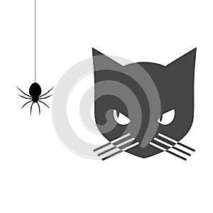 Black cat looking at a spider icon